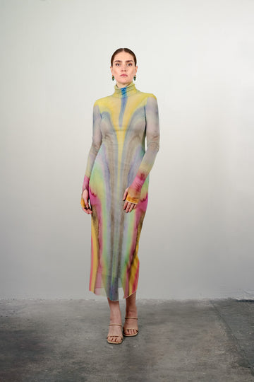 Shailene Mesh Dress