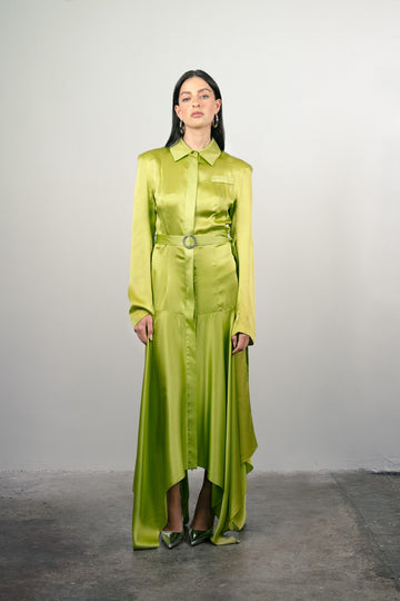 Drop Weist Silk Dress