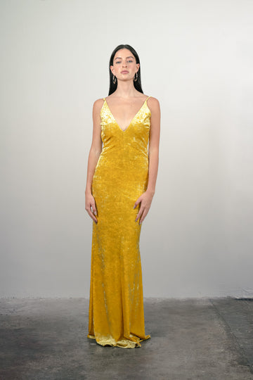 Kate Velvet Dress