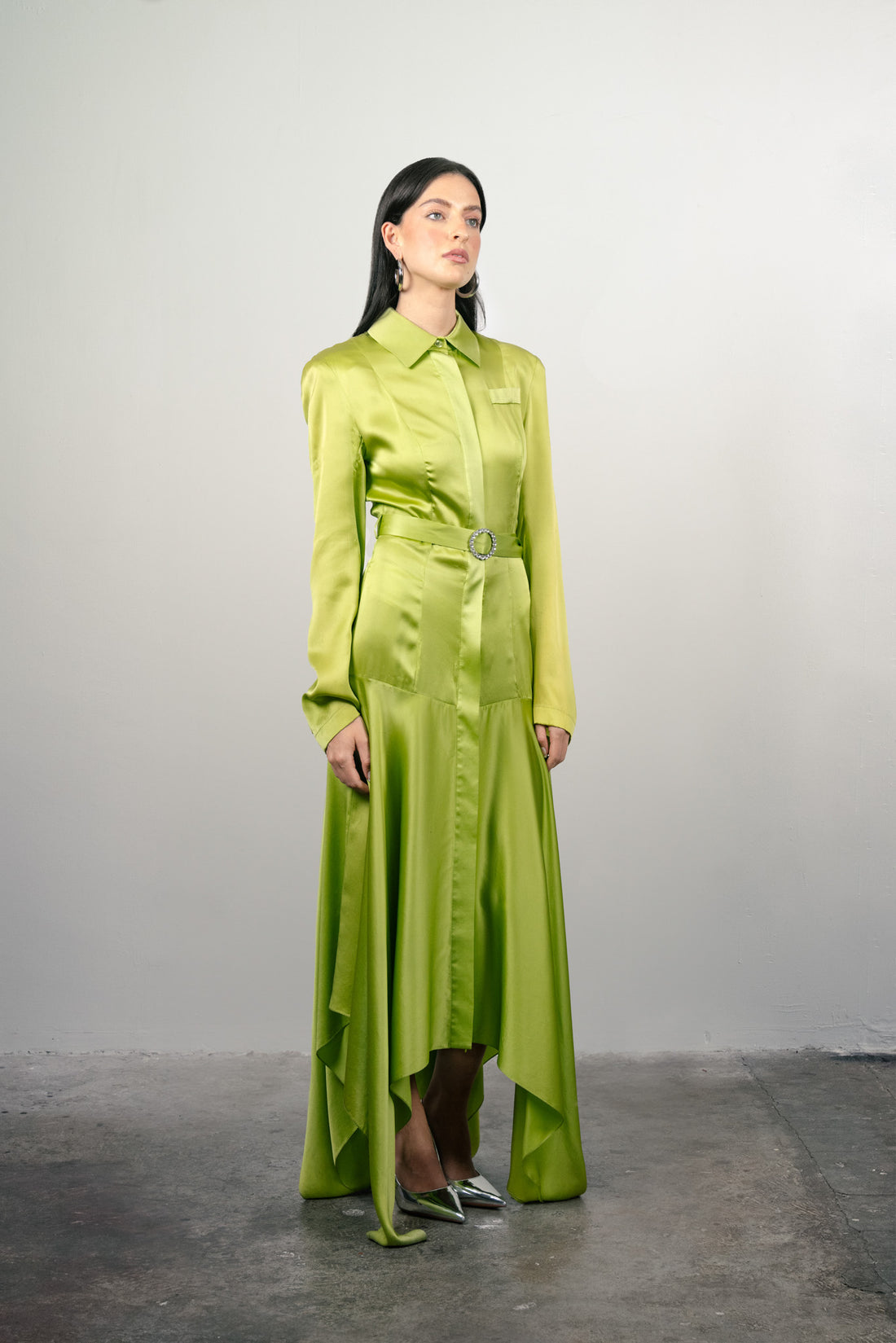 Drop Weist Silk Dress